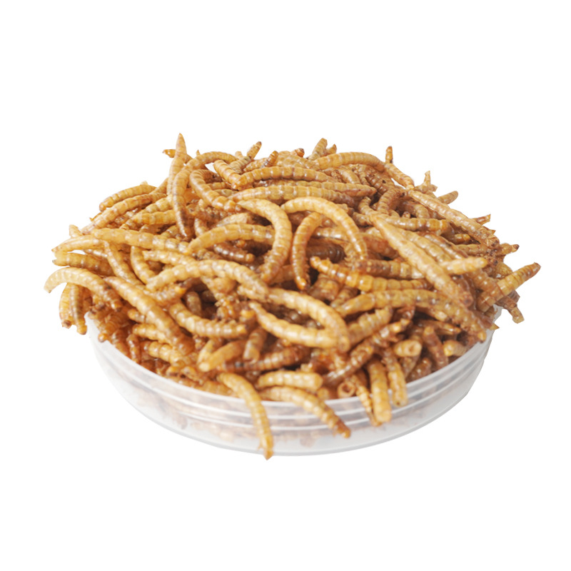 High-Protein Snacks Hamster Fo - Food Snacks With High Protein review and price
